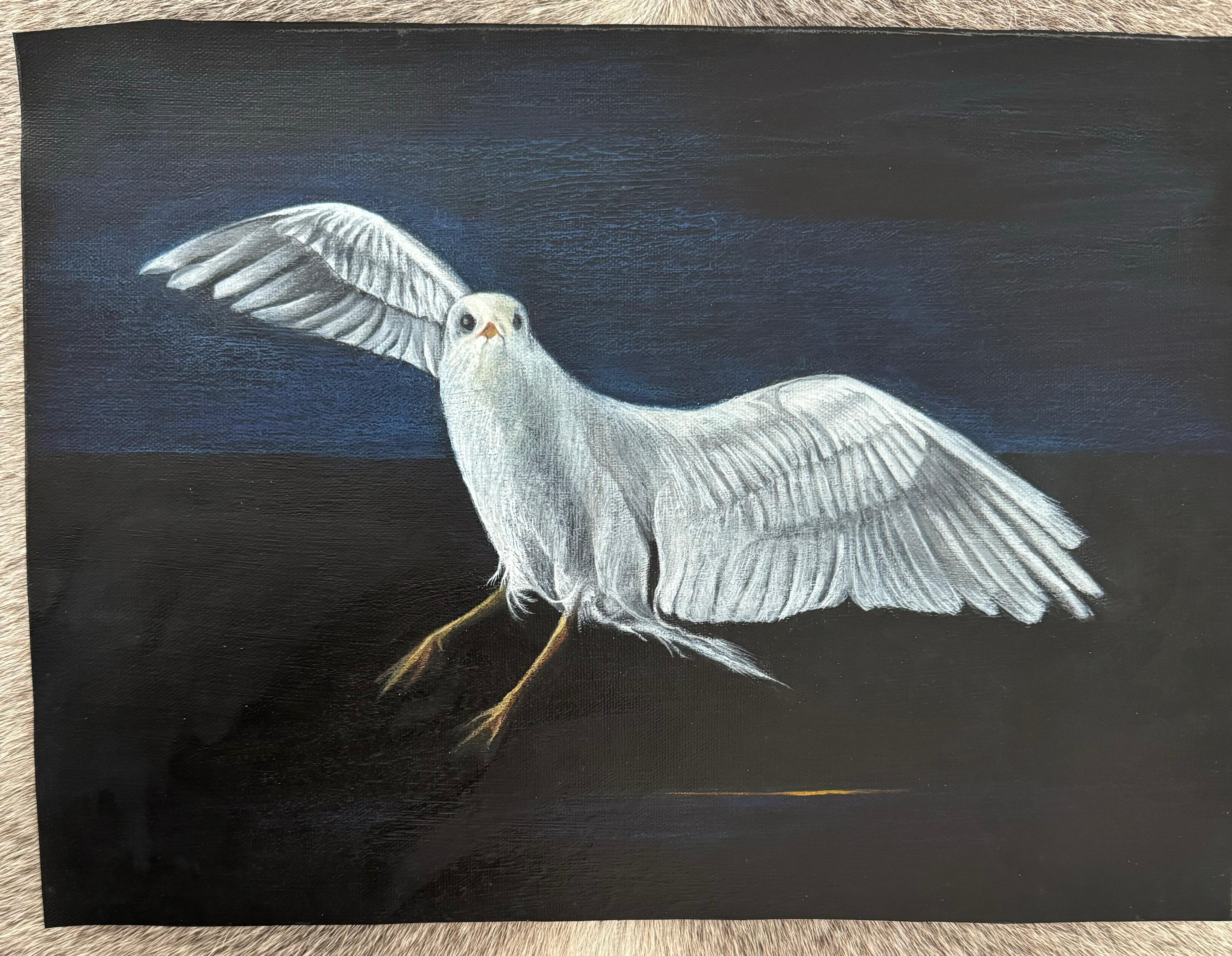 Seagull in flight