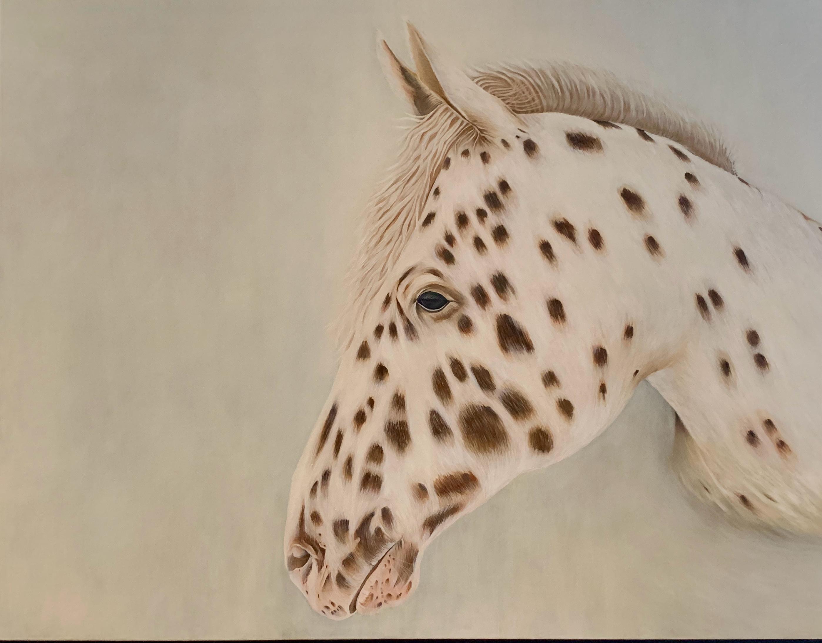 Spotted horse